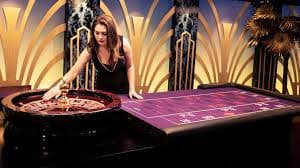 ivibet cassino