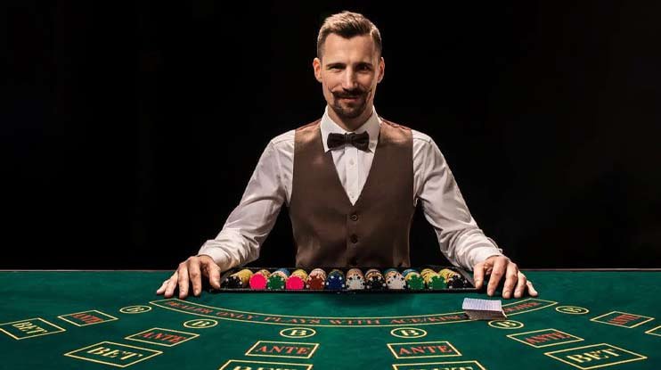 ivibet cassino